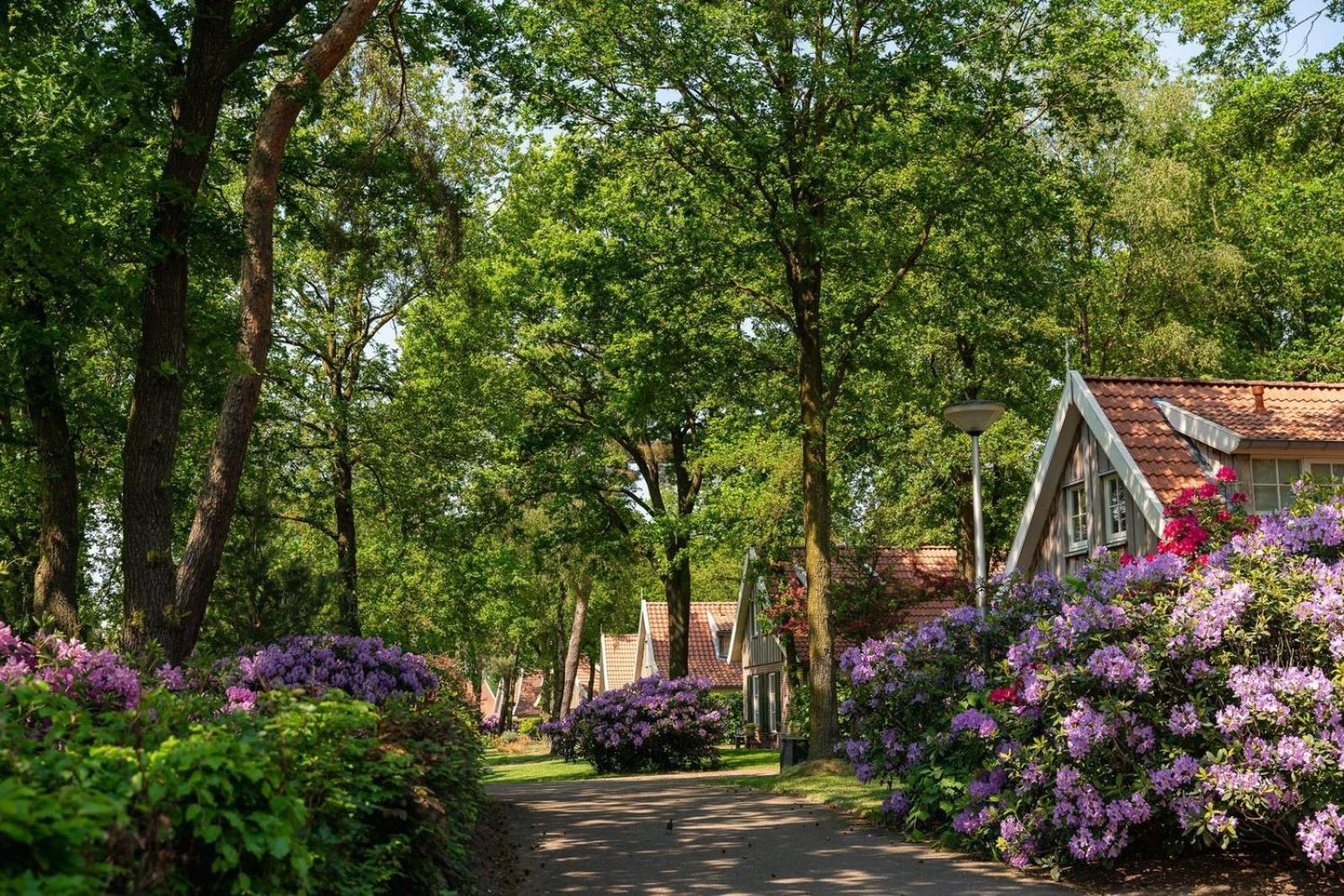 De Nagtegaal Holiday home *